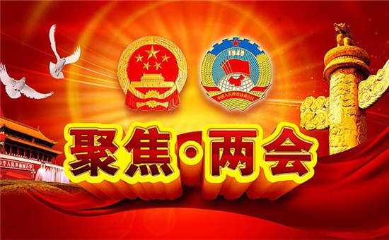 觀點(diǎn)集錦！兩會上電池行業(yè)傳出了那些重磅級聲音？
