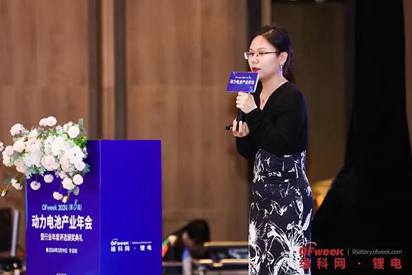 高朋滿座！盛況空前！“OFweek 2024新能源產(chǎn)業(yè)協(xié)同發(fā)展大會(huì)”圓滿落幕